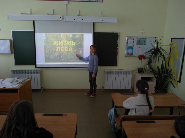 МЕЖДУНАРОДНЫЙ ДЕНЬ ЛЕСА.